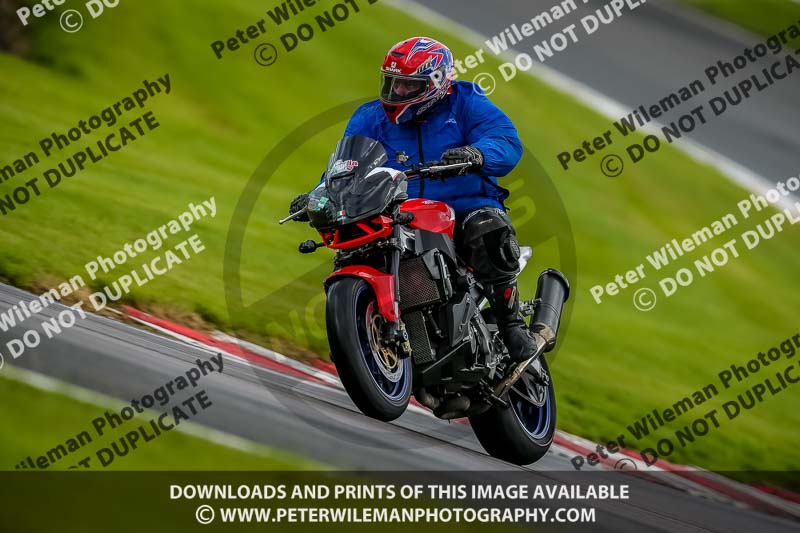 PJ Motorsport 2019;anglesey;brands hatch;cadwell park;croft;donington park;enduro digital images;event digital images;eventdigitalimages;mallory;no limits;oulton park;peter wileman photography;racing digital images;silverstone;snetterton;trackday digital images;trackday photos;vmcc banbury run;welsh 2 day enduro